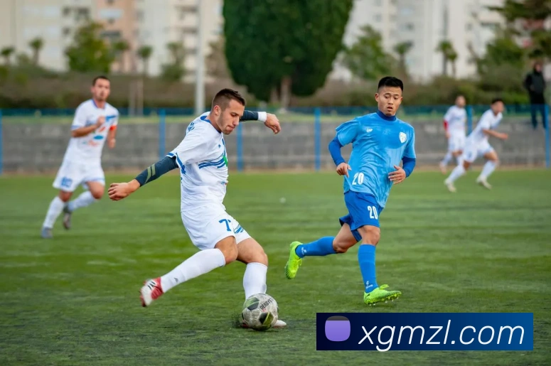 App Interface Preview