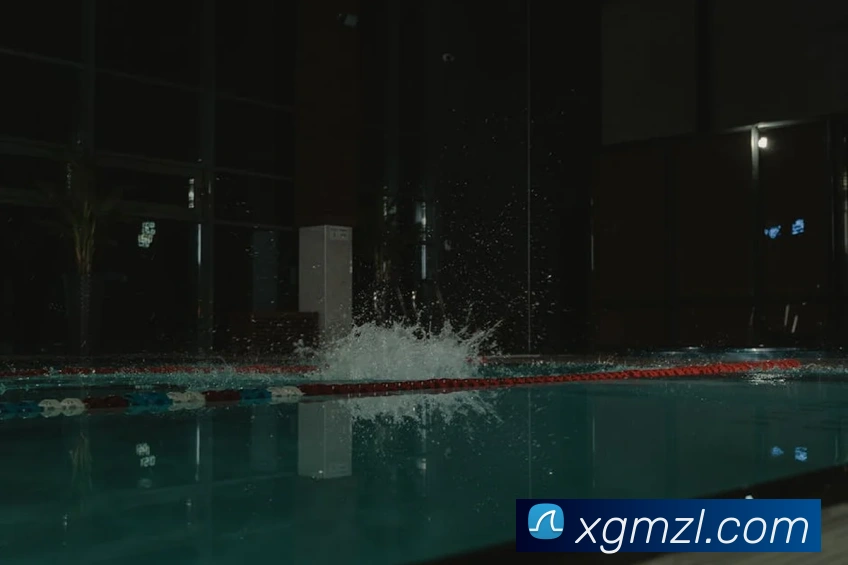 尊龙凯时APP 封面图